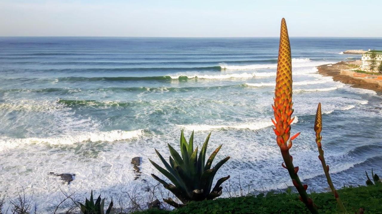Ericeira Soulsurfers Guesthouse Dış mekan fotoğraf